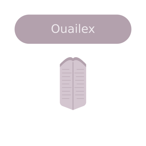 Ouailex Logo